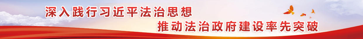 深入践行习近平法治思想 推动法治政府建设率先突破